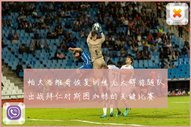 帕夫洛维奇恢复训练无大碍将随队出战拜仁对斯图加特的关键比赛